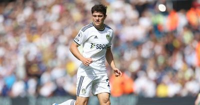 Daniel James move, Lucas decision, loan calls - Tottenham transfer deadline day state of play