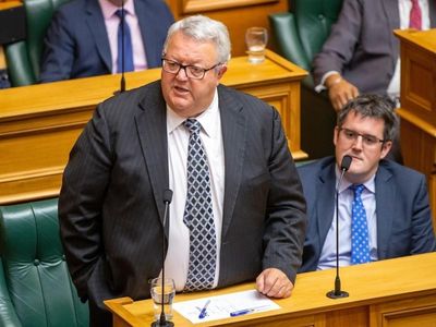 NZ opposition downplays UN China report