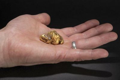 Largest gold nugget found in Scotland in 400 years goes on display