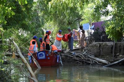 Villagers brave snakes and hunger to protect land in flooded Pakistan