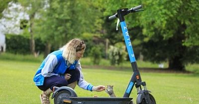 South West e-scooter firm acquired by Irish start-up Zeus