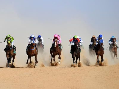Rain cancels first day of Birdsville Races