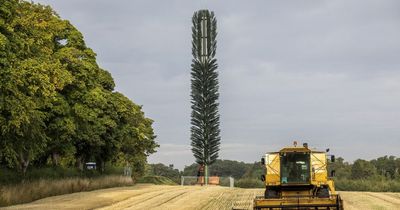 Phone mast disguised as tree in Scots farm branded 'giant toilet brush' by locals