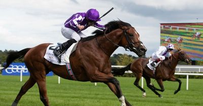 WIN TICKETS to day 1 of Longines Irish Champion Stakes Weekend at Leopardstown Racecourse
