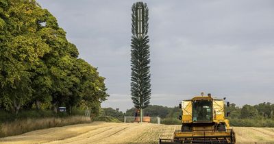 Residents kick off at phone mast that looks like a giant toilet brush