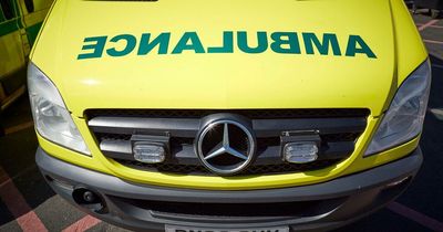 Ambulance driver sues bosses for racism over 'ten a penny' remark