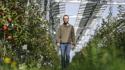 Sweet or Not? German Farmer Trials Solar Roofs for Orchard