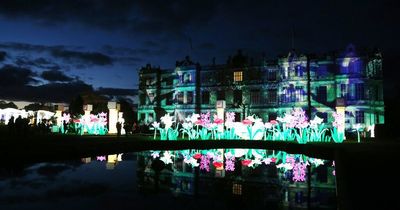 Christmas 2022: Longleat Festival of Light set to return this year featuring Roald Dahl extravaganza