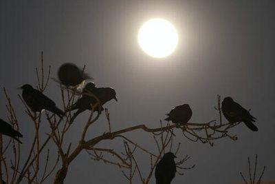 You need to see the bright Harvest Moon in the sky this month
