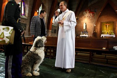 Some Dutch churches to skip Mass due to energy costs, priest shortage