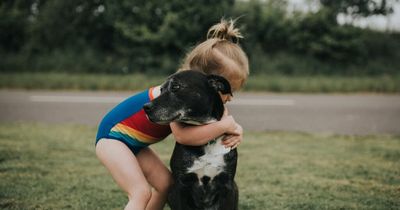 Parents urged to stop letting their children hug their pet dogs