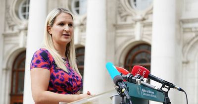 Brother of murdered Ann Walsh tells Justice Minister Helen McEntee not to give 'false hope' to victims' families over minimum sentences