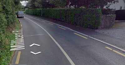 Cyclist killed in horror crash involving articulated tractor as gardai renew appeal