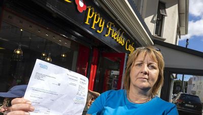 Electric Ireland to hit more than one million households with a new price hike