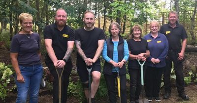 Dog rescue centre's new garden designed by BBC's Beechgrove Garden team has tails wagging