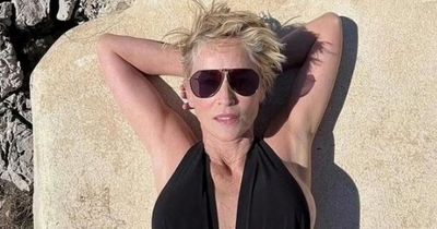 Sharon Stone, 64, was once dumped by lover for refusing Botox after having stroke