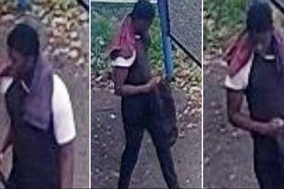 Girl, 11, grabbed by male and sexually assaulted next to Portsmouth play park