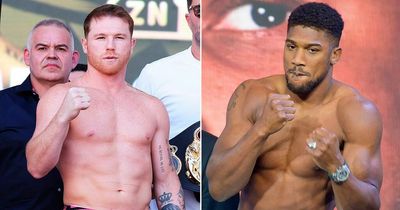 Canelo Alvarez told to fight Anthony Joshua if he moves up to heavyweight