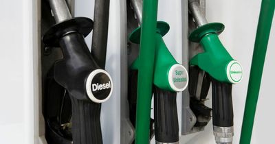 Price of diesel starting to rise again, says AA