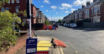 Who is Grain Connect and why is it digging up roads and paths in Newcastle?