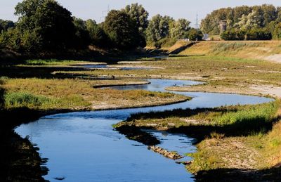 Germany celebrates revival of river once called 'open sewer'