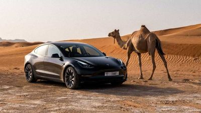 Tesla Touts Extreme Heat & Durability Testing In Dubai, With A Camel