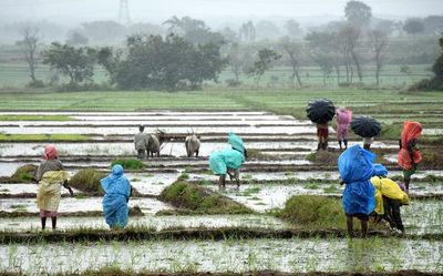 Mysuru got nearly 2.5 times the normal rain in August