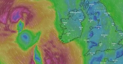 Electric Picnic warning as Met Eireann gives grim forecast