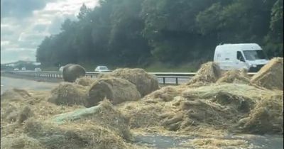 M8 West Lothian closed as hay bales strewn across motorway cause huge delays