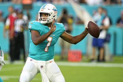 Dolphins announce their 2022 team captains