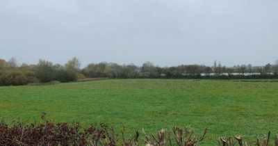 Decision delayed on plans to build football pitches and clubhouse on green belt land