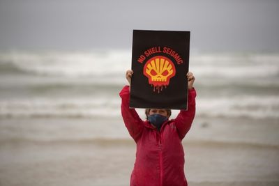 S.African court confirms Shell seismic exploration ban