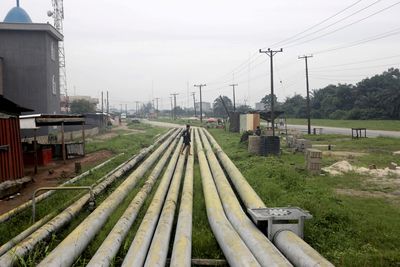 Nigeria's Ogoniland is dirtier than estimated despite landmark oil cleanup