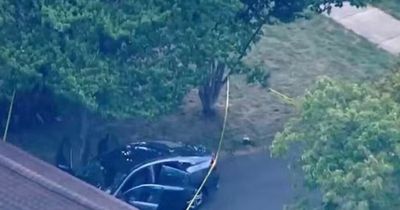 Mum's anguish as girl, 2, dies after she leaves her in hot car for seven hours