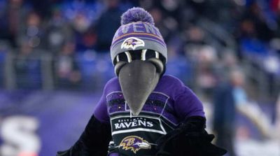 Ravens Mascot Poe Suffers Season-Ending Injury