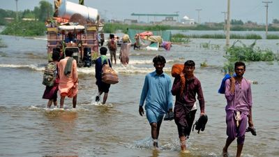 As Pakistan endures an 'unprecedented' flood, the Australian diaspora swings into action