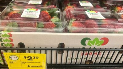 Strawberry prices drop as supply increases, growers ask for consumer support at the checkout