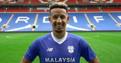 Cardiff City transfer ins and outs in full as Bluebirds complete squad rebuild with Callum Robinson capture