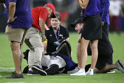 Ravens HC John Harbaugh provides devastating injury update on mascot Poe