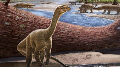 Africa's oldest known dinosaur has been discovered in Zimbabwe