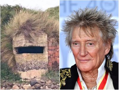 Rod Stewart responds to lookalike pillbox meme: ‘F*** sake’