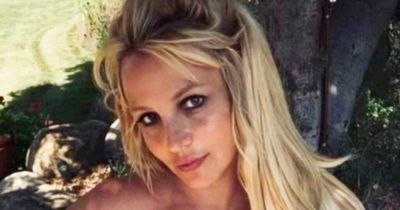 Britney Spears 'saddened' by son's comments and hits out at Kevin Federline again
