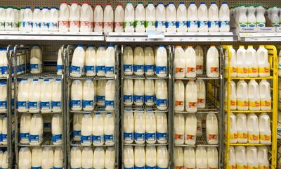 Animal Rebellion activists vow to disrupt UK milk supplies