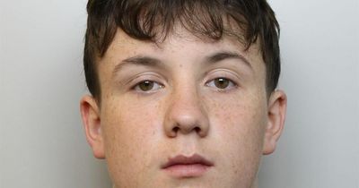 Faces of teenagers missing from Merseyside as police issue appeals