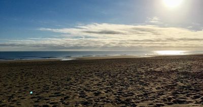 Parents and dog walkers warned as pellets wash up on Sutton-on-Sea beach