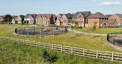 Up to 60 new homes planned near Brecon Beacons National Park