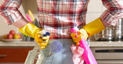 Thrifty 30p natural hack will keep spiders away from your home this autumn