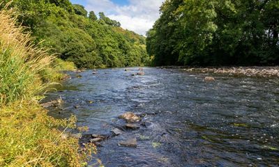 River pollution goes unchecked as testing in England falls to 10-year low