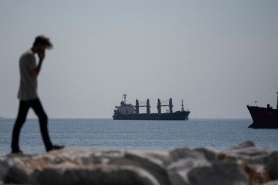 Ship carrying Ukrainian corn briefly stranded in Istanbul