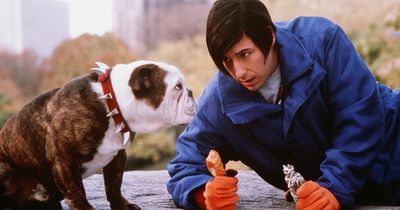 Adam Sandler's 'worst movie' with 'most irritating character ever' comes to Netflix